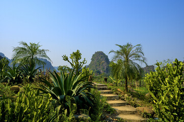 Obraz premium Beautiful Scenery at Hang Mua Viewpoint, Ninh Binh, Vietnam