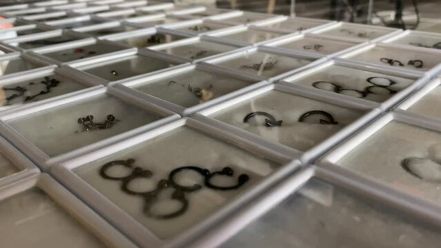Close up view sliding shot revealing rows of nose and ear piercing jewelry in boxes for sell at shop.