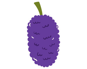 Fruit mulberry in cartoon hand drawn simple style. Editable variable color