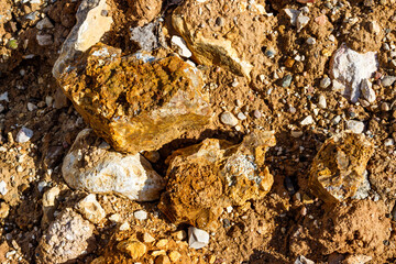 Siliceous rocks lying among limestone and clay in the open air