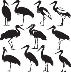 illustration of a stork Silhouette Vector 