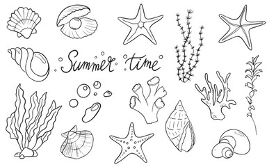 Tropical Ocean Nature Graphic Collection: Fun Sea Life, Marine Animals, Coral, and Shells Vector Wallpaper © Zabolotna_Art