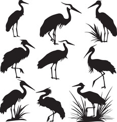 illustration of a stork Silhouette Vector 