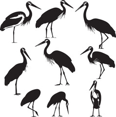 illustration of a stork Silhouette Vector 