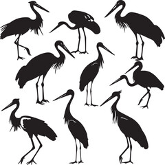 illustration of a stork Silhouette Vector 