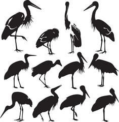illustration of a stork Silhouette Vector 