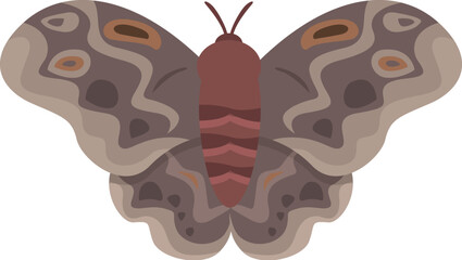 Beautiful brown butterfly spreading its wings on white background