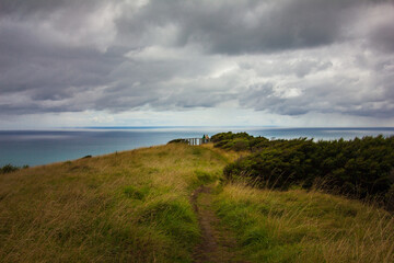 A narrow trail leading through tall grass towards the edge of promontory rising high above calm blue waters of Tasman Sea. Te Toto Gorge Lookout, Raglan, New Zealand