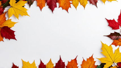 Autumn frame adorned with colorful vibrant fallen maple and holly, borders soft white background. Yellow, red, green foliage. Copy space for text.