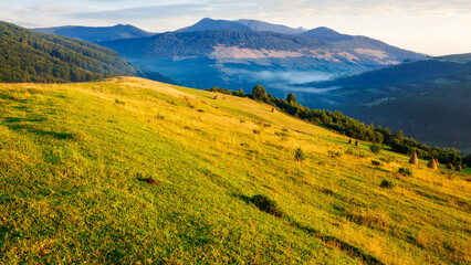 mountainous countryside in summer. carpathian rural landscape of ukraine. haystacks on the grassy farm field. beautiful rolling scenery in morning light