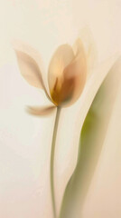 muted blurry tulip with leaf, light gold lens, artistic flower wallpaper