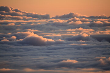 夜明けの朝に広がる広大は雲海