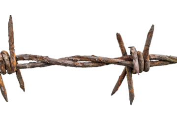 Close-up of rusty barbed wire against a white background, highlighting the texture and aged condition of the metal, symbolizing protection, boundary, and harsh environments.
