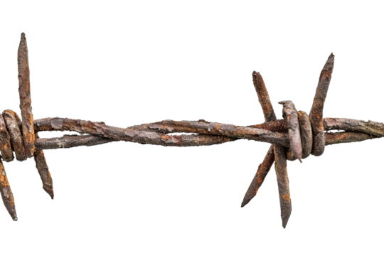 Close-up of rusty barbed wire against a white background, highlighting the texture and aged condition of the metal, symbolizing protection, boundary, and harsh environments.