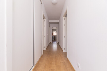 hallways in a home are important elements that can influence the functionality and aesthetics of the home