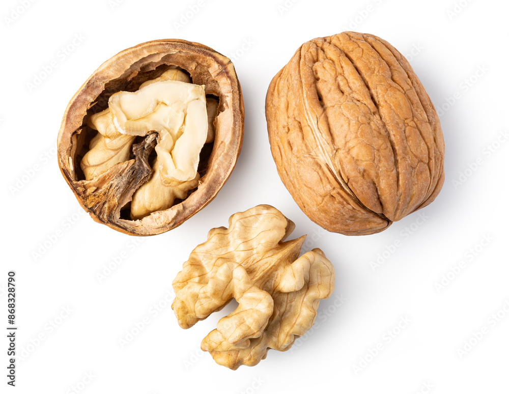 Poster Walnut on white background - Posters