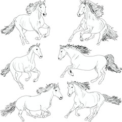 six horse outlines on white