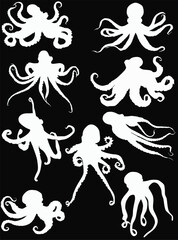 nine octopus silhouettes isolated on black