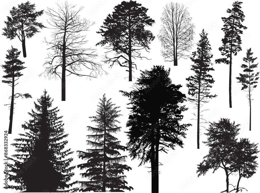 Sticker different trees twelve silhouettes isolated on white