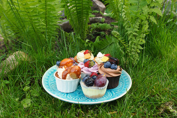 The variety of bright colorful muffins with berries on a meadow
