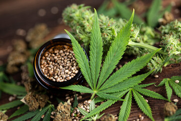 Hemp oil and marijuana leaves on extract cbd