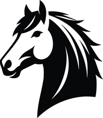 Beautiful Black And White Horse  Silhouette