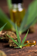 Cbd cannabis and medical marijuana