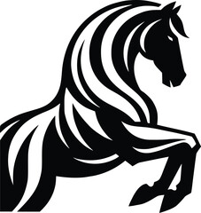 Beautiful Black And White Horse  Silhouette