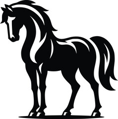 Beautiful Black And White Horse  Silhouette