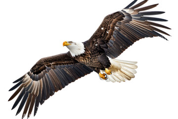 Fototapeta premium A majestic bald eagle soars through the air with its wings spread wide, showcasing its powerful form and striking features against a transparent background.