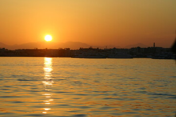 Scuba Diving in Redsea Egypt - Marine life