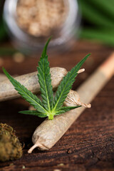 Blunt, Cbd,  Marijuana bud with cannabis