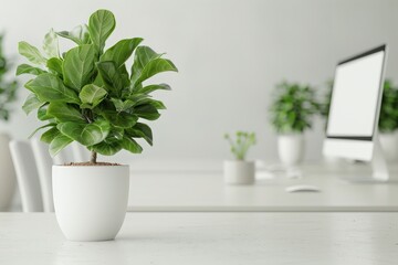 Seamless Product Integration in Modern Office Environment