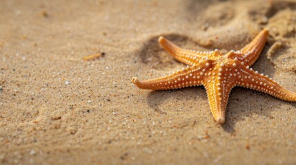A starfish lies on the sandy beach creating a serene scene with ample copy space image 