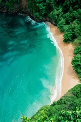 Caribbean beach top view. Ocean waves. Drone view. Palms and sandy coastline