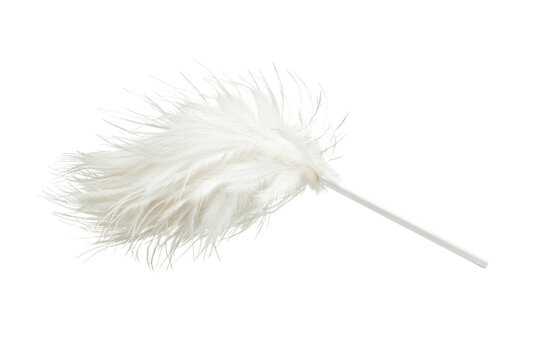 A white feather duster with a soft and fluffy texture, ideal for dusting and cleaning surfaces, isolated on a white background.