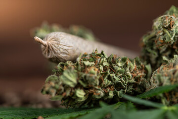 Blunt, Cbd,  Marijuana bud with cannabis