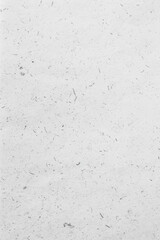 Obraz premium Light Gray Kraft Paper Flat Texture
