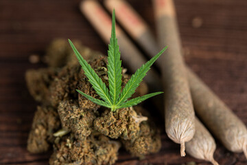 Blunt, Cbd,  Marijuana bud with cannabis