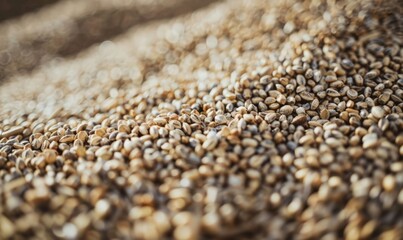 Close-up of Brown Coffee Beans in a Pile