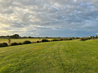 Fototapeta premium field and blue sky