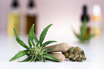 Marijuana, cbd concept, cannabis bud and weed