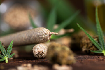 Blunt, Marijuana buds with cannabis leaves, cbd