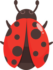 Obraz premium Simple cartoon ladybug illustration, a colorful beetle standing with opened wings
