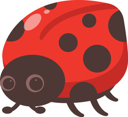 Cheerful ladybug is crawling around, displaying its bright red shell and distinctive black spots