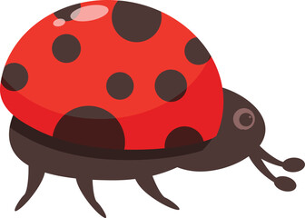 Cute ladybug crawling with red shell and black spots