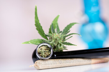 Cbd cannabis hemp buds, Blunt