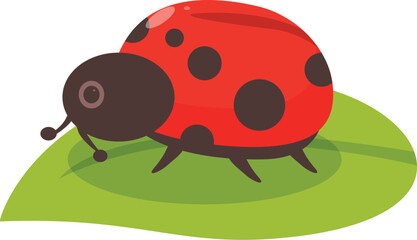 Cartoon ladybug is crawling on a bright green leaf
