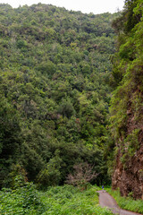 path in the mountains