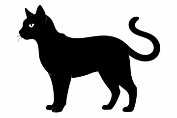 black and white cat silhouette, Cat vector illustration, cat head silhouette, animal silhouette isolated vector Illustration, png,  Cat icon